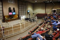 Steer and Heifer Calves Lightly Tested for an Accurate Market Trend Tuesday at OKC West