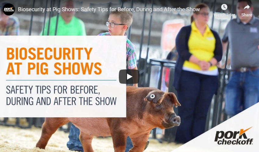 Industry Panel Shares Importance of Biosecurity with Youth Exhibitors at The Exposition Pig Show