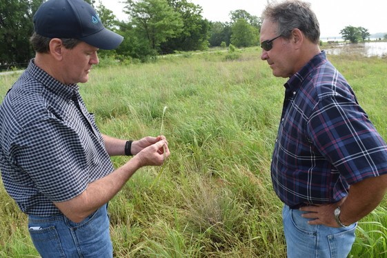 More Producers Find Wetlands Reserve Program the Right Answer to Help Their Conservation Goals