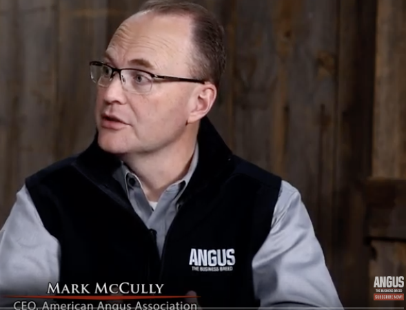 American Angus Association's Mark McCully Talks About the Understanding Value in the Beef Carcass