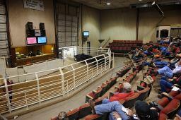 Steer and Heifer Calves Lightly Tested on Comparable Offerings for an Accurate Trend with a Much Lower Undertone Tuesday at OKC West Livestock Auction