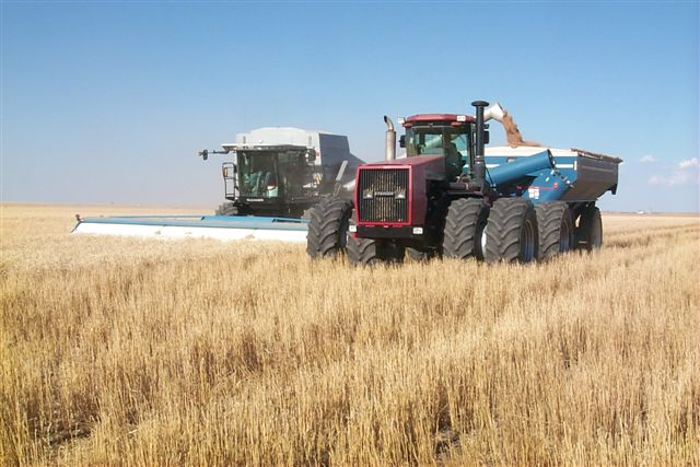 Wheat Harvest in OK Nears the Halfway Mark This Week as Crop's Condition Remains Relatively Strong
