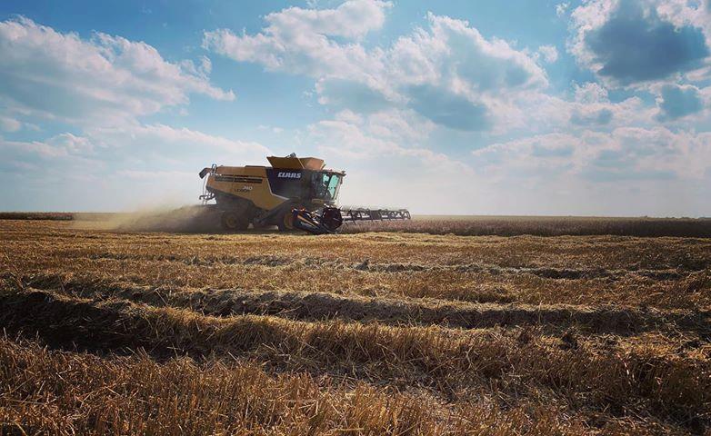 Harvest Weather Helps Advance Oklahoma Wheat Harvest Past the Two Thirds Done Mark- Now 68% Complete According to Plains Grains
