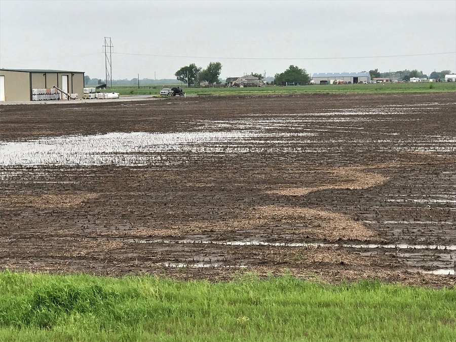 USDA Announces Farmers in 23 Oklahoma Counties Have Additional Time to Report Prevent Plant Acres 