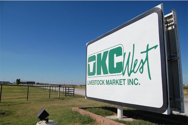 Steer and Heifer Calves Not Well Tested Last Week for an Accurate Trend Tuesday at OKC West Livestock Auction