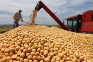 Anniversary of China Tariffs No Cause for Celebration for Soy Growers