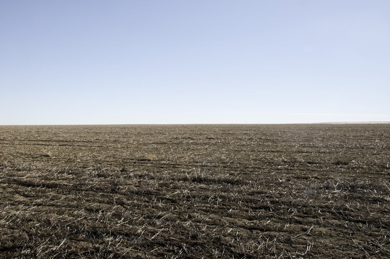 USDA Reports That Farmers Were Prevented from Planting Crops on More than 19 Million Acres