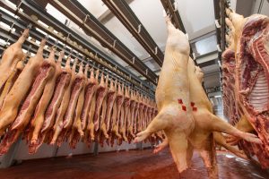 U.S. Pork Producers Seeking Expanded Export Opportunities, Pleased with Administration's Trade Agenda Progress