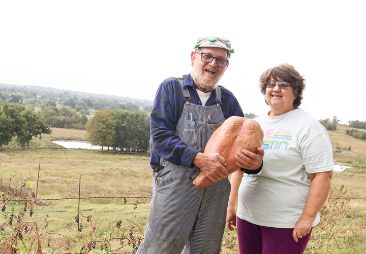 Holdenville Man Grows Huge 25.2 Pound Sweet Potato