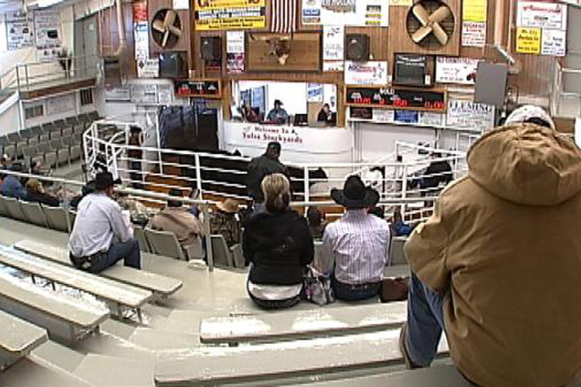 Tennessee auctioneer wins World Livestock Auctioneer Championship qualifier