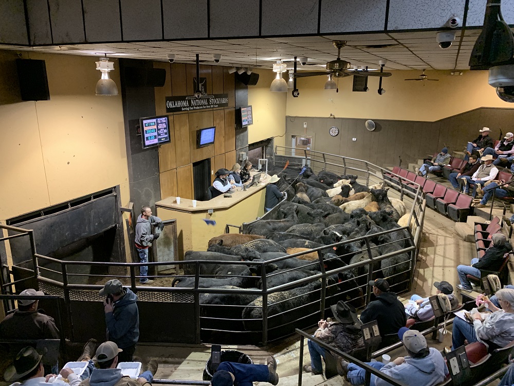 OSU's Cattle Market Watcher Dr. Derrell Peel Sees Strong Finish for 2019 Beef Production