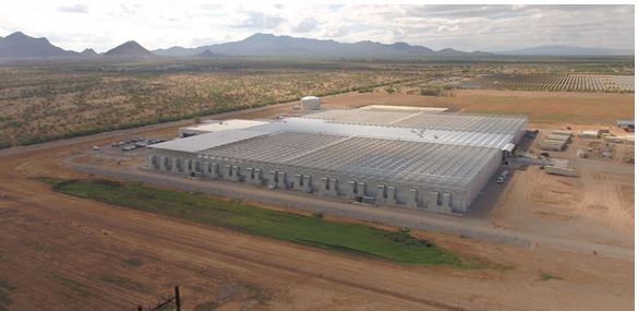 Bayer Announces New Innovative Greenhouses in Marana, Arizona 