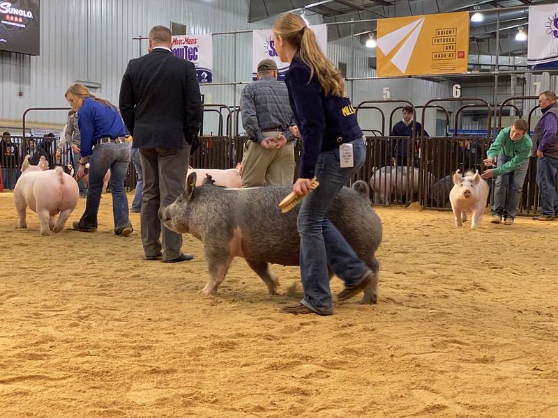 Oklahoma Farm Report - 2020 Oklahoma Youth Expo Ends Early Due to State