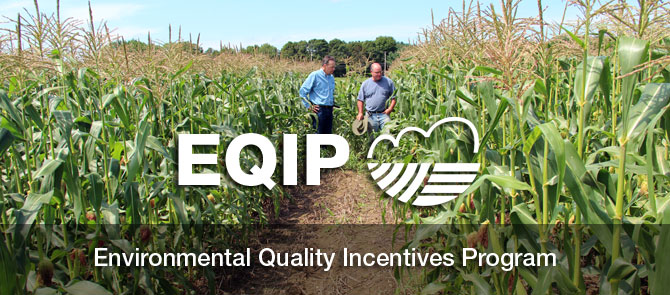 Environmental Quality Incentives Program Application Deadline - April 17, 2020