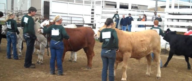 Performance Beef Sale Gives Kids an Opportunity to Make a Profit, and for Buyers to Get Quality Beef