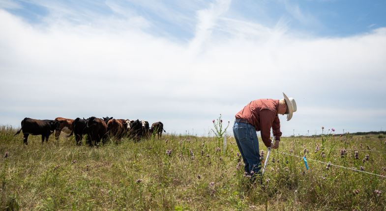 From the Pilots Seat: The Integrity Beef Sustainability Project
