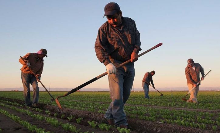 Farmers Prioritize Worker Health and Safety