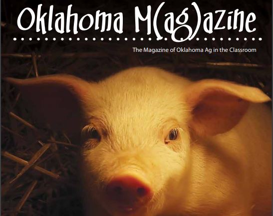 This Weeks Ag in the Classroom Features Cattle Breeds, Corny Jokes, and Piglets! 