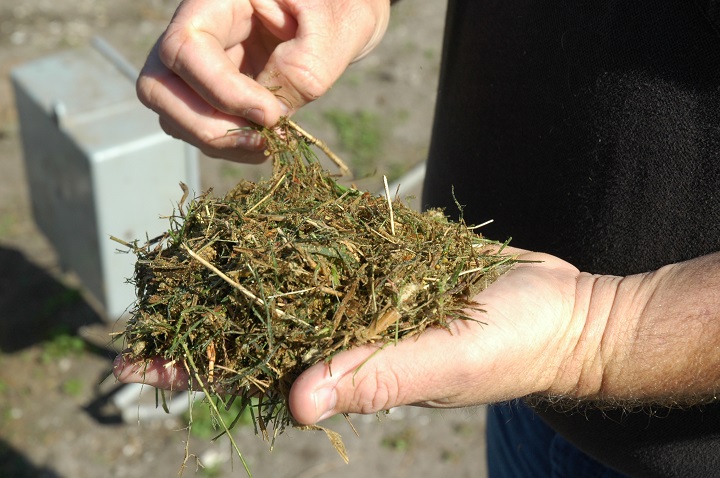 USDA Announces Improvements to Forage Seeding and Forage Production Crop Insurance Provisions for the 2021 Crop Year
