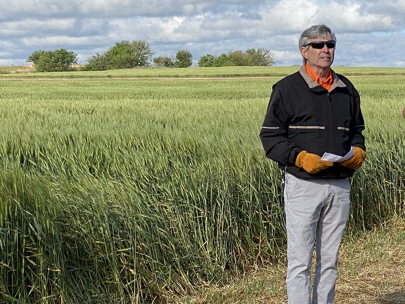Data Supports Tank Mixing Insecticide With Top Dressed Nitrogen Application on Wheat, Says OSU's Tom Royer