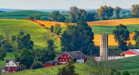 USDA to Provide $1 Billion in Loan Guarantees for Rural Businesses and Ag Producers
