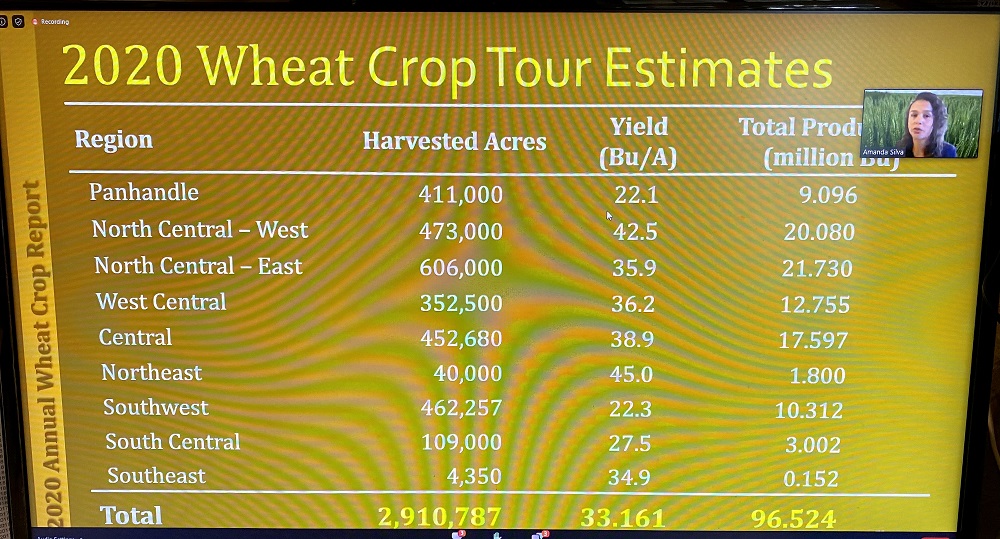 Crop Scouts Gather on Zoom- Predict 96.5 Million Bushel Oklahoma Wheat Crop 