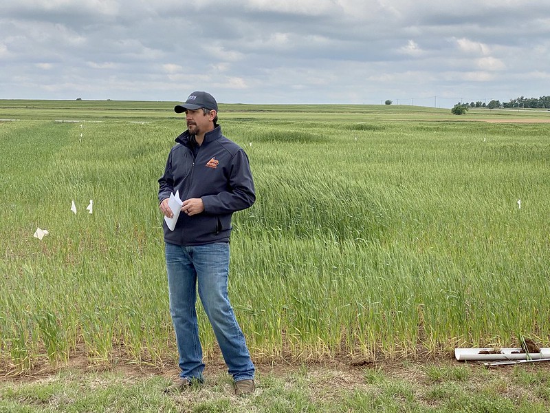 Timely Nitrogen Application Key Lesson Learned From 2020 Wheat Crop Says Brian Arnall, OSU Precision Nutrient Management Specialist