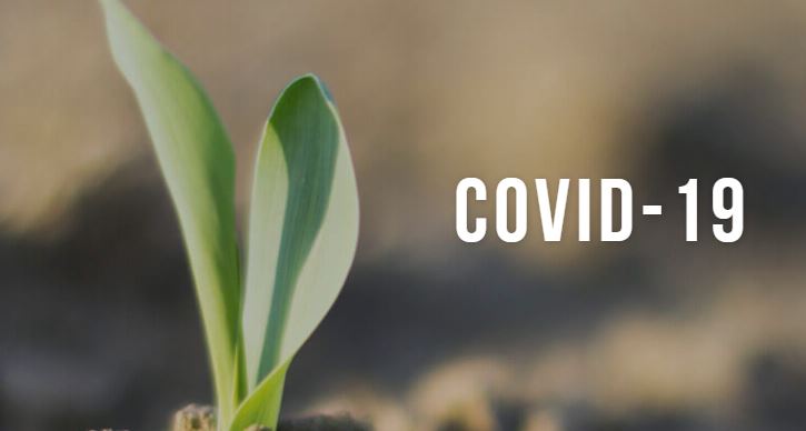 NCGA Welcomes COVID-19 Assistance for Corn Farmers