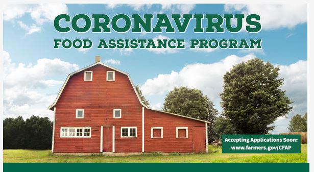 USDA to Host Webinar for Producers Interested in Applying for Direct Payments through the Coronavirus Food Assistance Program
