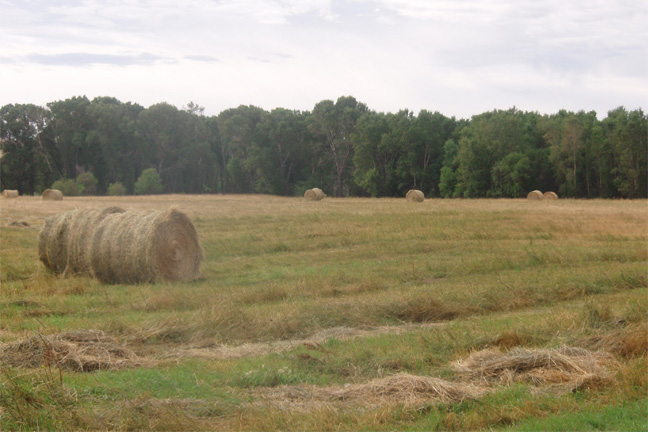 Oklahoma Hay Report for Week of May 7,  2020