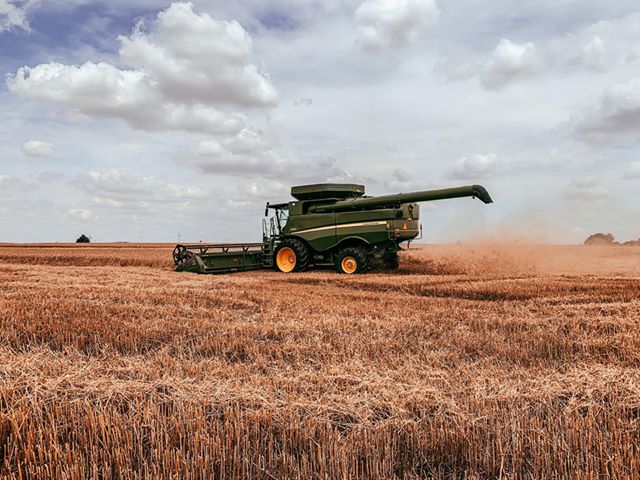 Plains Grains Calls Kansas Wheat Crop 45% Harvested- Oklahoma Now at 98% Complete