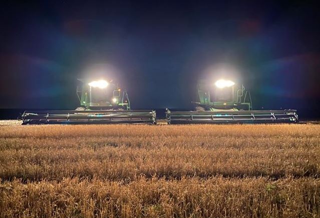 Oklahoma Wheat Commission Says Harvest 95% Complete 