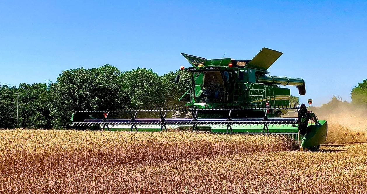 Oklahoma Wheat Commission says Wheat Harvest 99% Complete 