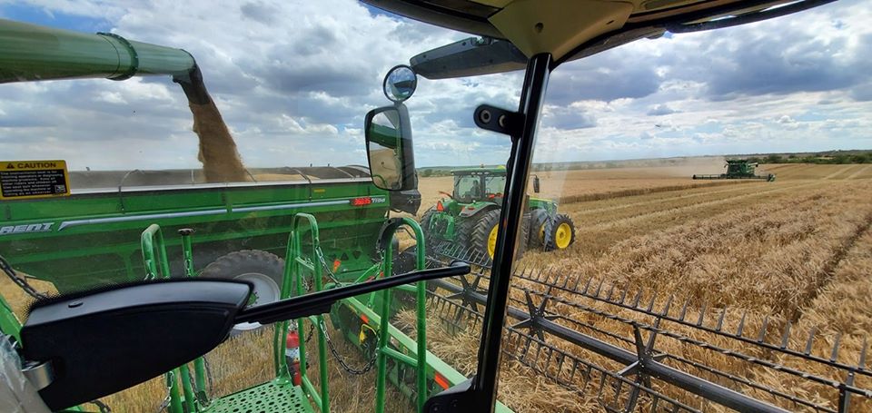 Plains Grains Believes Texas at Midway Point in the 2020 Wheat Harvest- Oklahoma at 36 Percent