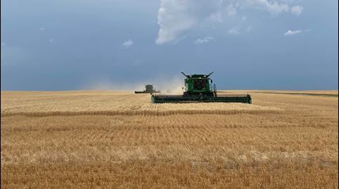 Oklahoma Wheat Harvest Starts Back Up in Northern Oklahoma and is 96% complete Across the State 