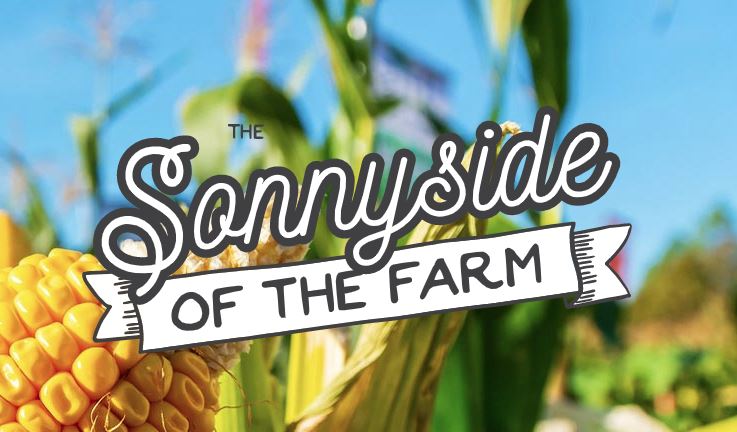Sonnyside of the Farm--USDA's Farmers to Families Food Box Program