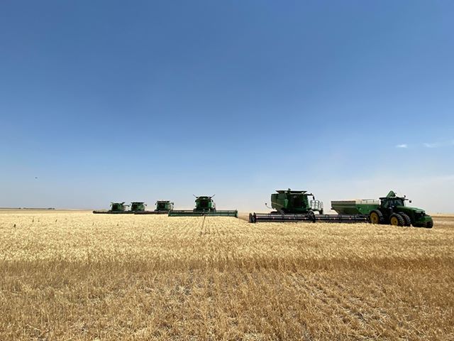 Plains Grains Calls Texas and Oklahoma Wheat Harvest Done at 99% Complete- Kansas Now at 70%