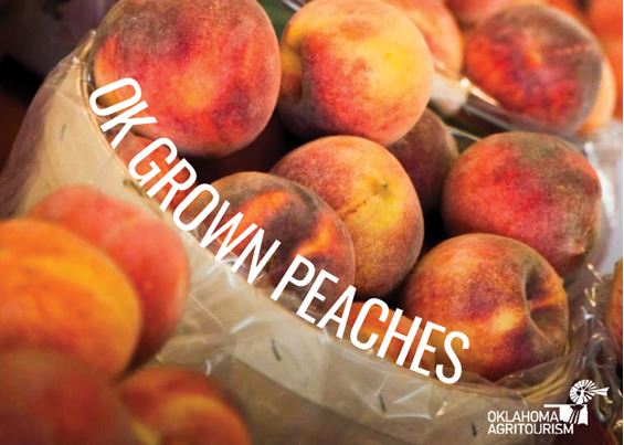 Oklahoma Agritourism Presents Jellly Making Trails with Oklahoma Peaches 