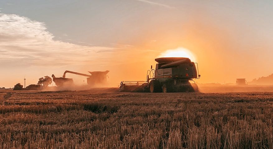 Plains Grains Calls 2020 Hard Red Winter Wheat Crop a Week Away From Being Complete