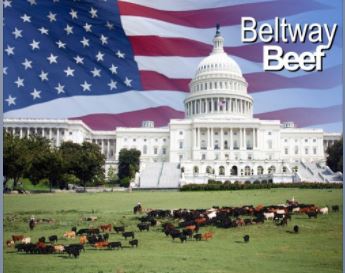 Beltway Beef: Ethan Lane and Danielle Beck Give Pandemic Relief Update