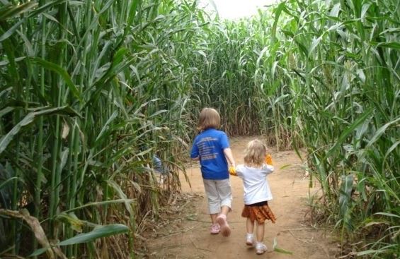 Agritourism--Top Fall Activities in Oklahoma for the Whole Family to Enjoy