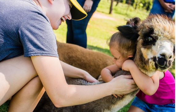 Agritourism--Top Fall Activities in Oklahoma for the Whole Family to Enjoy