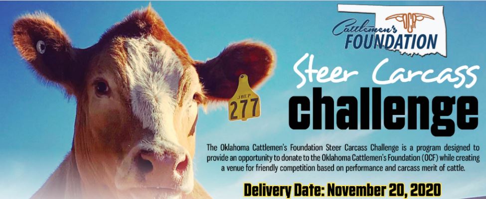 Nine Local Cattlemen's Organizations Receive Payout Checks from the OCF Steer Carcass Challenge