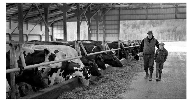 Dairy Defined: Dairy Farmworkers Deserve Praise 