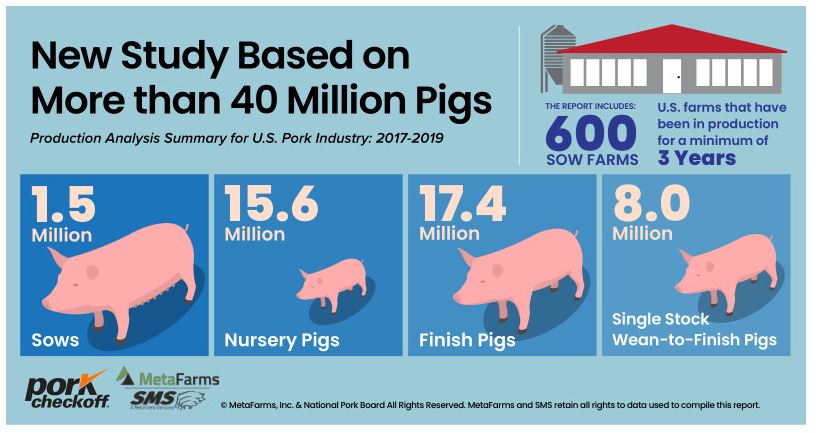 New Report: Pork Industry Makes Gains in Sustainability 