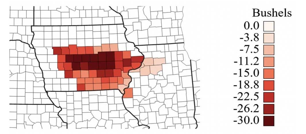  National Corn Yield still likely to Break Records, while Lack of Rain lowers Yields Further in Iowa