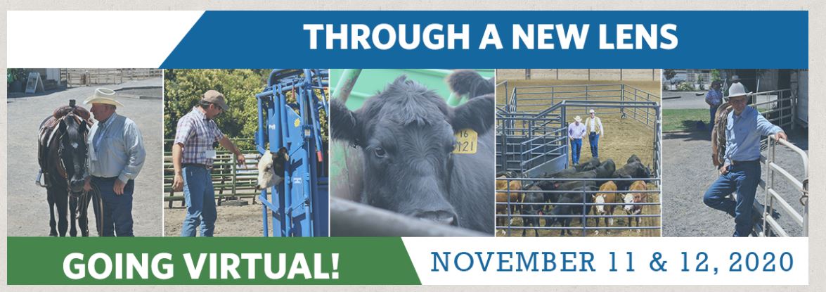 NCBA Announces Dynamic Line Up of Speakers for Virtual Stockmanship & Stewardship Event