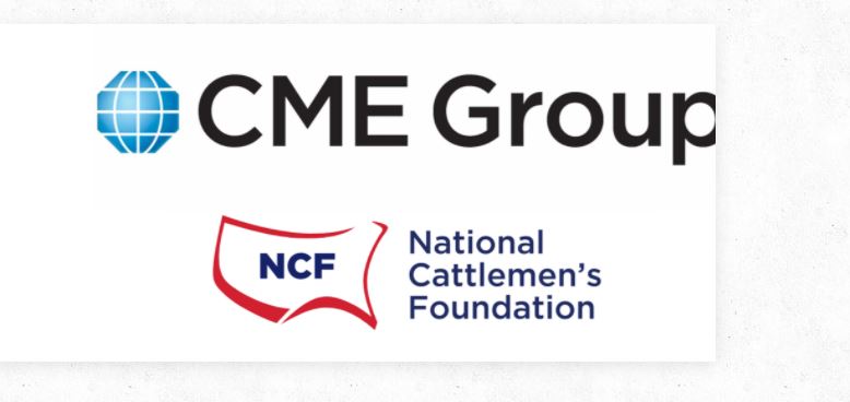 NCF Accepting Applications for CME Group Beef Industry Scholarships