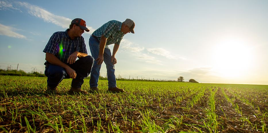 Stories from the Wheat Farm-- The Peters Family has A Passion for the Land in Oklahoma