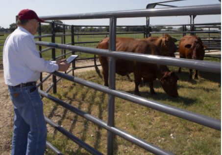 Veterinarian Network and Mentoring Program Launching in Texas, New Mexico   